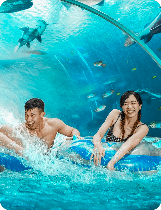 Adventure Cove Waterpark